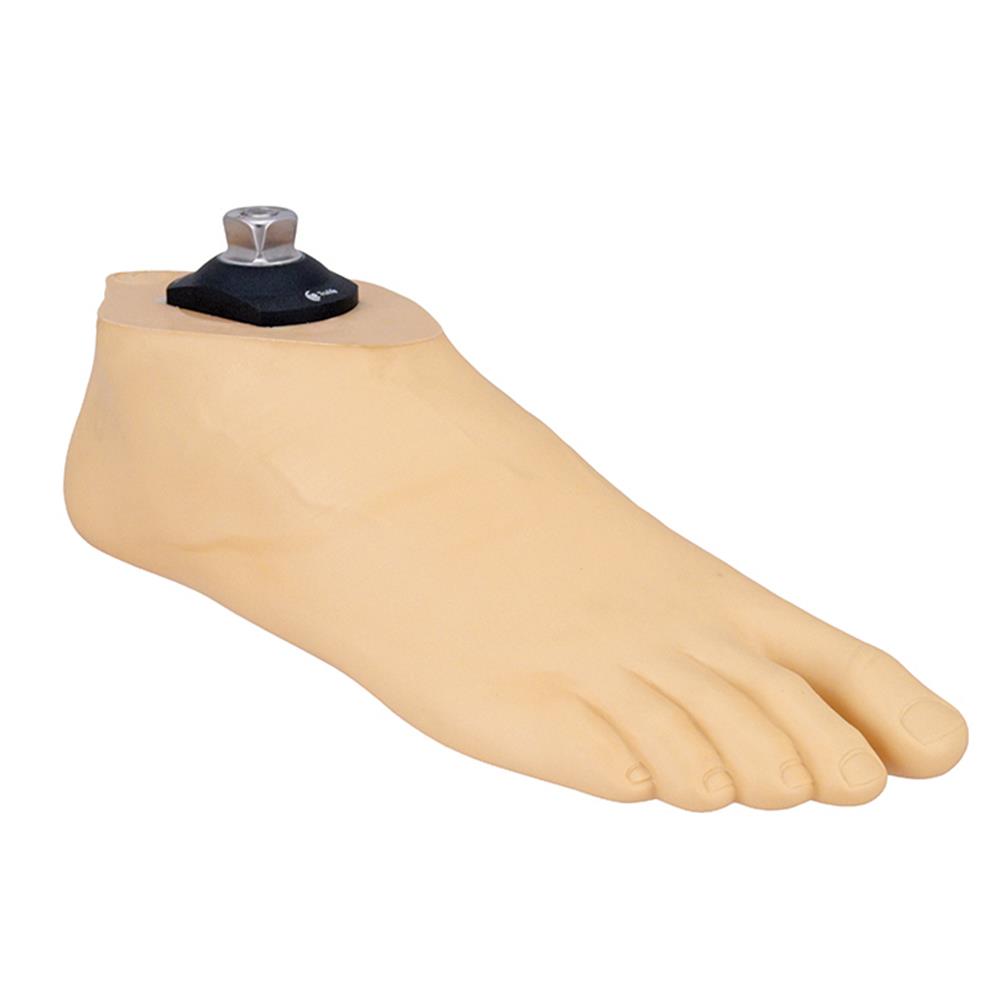 Steeper Group Steeper Group Seattle SACH Foot